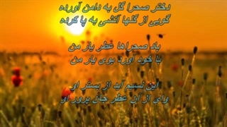 آهنگ قدیمی و خاطره انگیز دختر صحرا از زنده یاد بانو پوران / Pouran - Dokhtare Sahra پاکسازی پوست