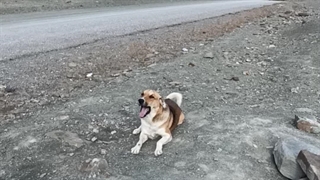 روستای دهیچ