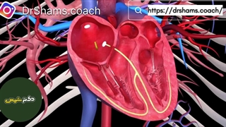 چگونگی کارکرد قلب انسان