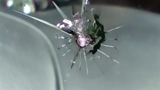 ترمیم شیشه کرج 09028778882