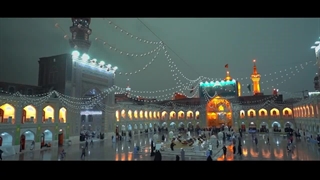 نماهنگ قربون کبوترای حرمت امام رضا(ع)