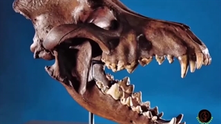 گرگ وحشت: گرگ وحشت ، سگسان وحشتناک و بیرحم منقرض شده