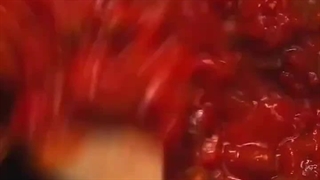 دستور تهیه ده مدل اسپاگتی و پاستا