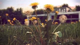 نمونه کار های سه بعدی جهانی