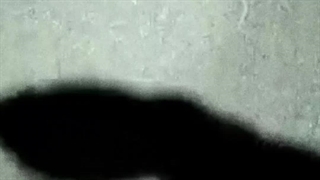 BTS:الان میتونم دستاتو بگیرم