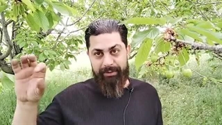 14030315: قالیباف آمد، سه جریان رو در روی یکدیگر در انتخابات