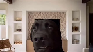 مستند‌‌تشابه‌من‌و‌قاتل//