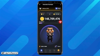 آموزش فروش همستر کامبت و بررسی اهمیت پروفیت Hamster Kombat