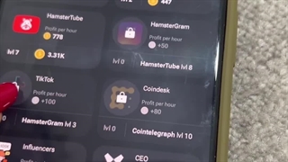 همه چیز درباره بازی همستر کامپت -- Hamster Kombat