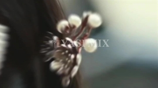 میکس مینی سریال چینی انتقام بگو نیا