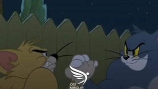 تام یا جری؟ (خودم تام)