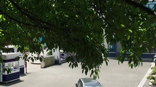 قسمت 9 سریال چینی کارآگاه حشرات فصل دوم - 2024 Insect Detective 2 با زیرنویس فارسی