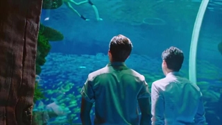 قسمت 11 سریال چینی کارآگاه حشرات فصل دوم - 2024 Insect Detective 2 با زیرنویس فارسی