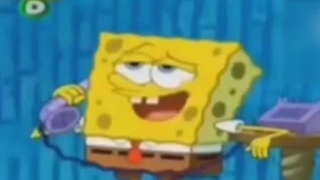 باب اسفنجی اشتباهی | 11