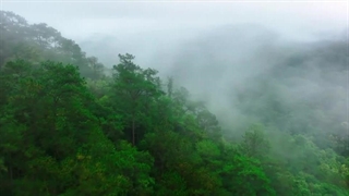 قسمت 17 سریال چینی کارآگاه حشرات فصل دوم - 2024 Insect Detective 2 با زیرنویس فارسی