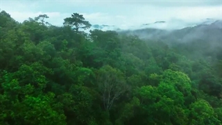 قسمت 19 سریال چینی کارآگاه حشرات فصل دوم - 2024 Insect Detective 2 با زیرنویس فارسی