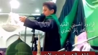 شهادت محمد(ص).مرحوم سید محمد باقر علوی