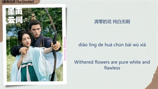 ✨قسمتی از موسیقی سریال چینی همزاد_بخش اول✨