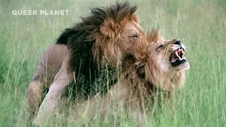 تریلر فیلم سیاره عجیب و غریب