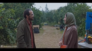 جنگل پرتقال | فیلم جنگل پرتقال | دانلود فیلم جنگل پرتقال