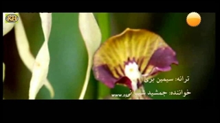 سیمین بری _ خواننده: جمشید شیبانی بررسی لک صورت