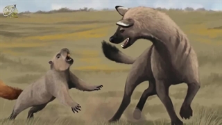 فرگشت کفتار و نگاهی به گذشته این گربه سان بی رحم