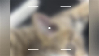 کار آموز جدید