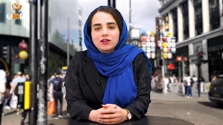 شرکت سهامی خاص یا مسئولیت محدود