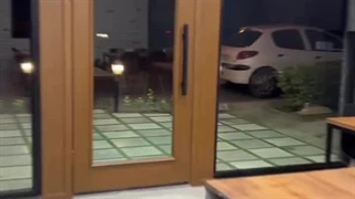 مشهد باربیکیو | سایت بهترین در مشهد