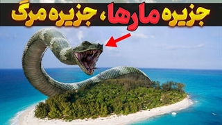 جزیره مارها برزیل، جزیره مرگ | جزیره مار، جزیره ای که حضور در آن به منزله مرگ است