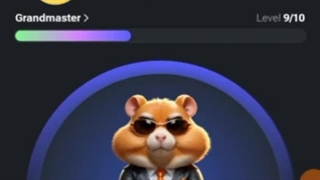 آموزش همستر کمبات 0 تا 100 کامل حتما ببینید