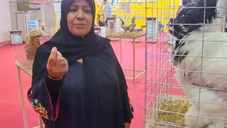 رضایت مشتری-پرورش دهنده مرغ های زینتی