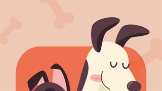 خرید غذای سگ از پت شاپ حامی پت