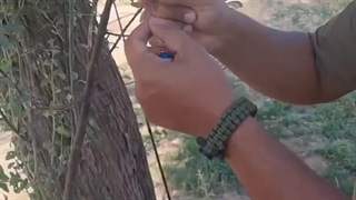 ریسه متغییر بهترین ریسه برای صید قزل آلا در رودخانه