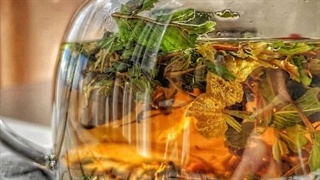 دستگاه خشک کن سبزی و گل محمدی و دمنوش