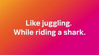 اسپلانک چیست؟