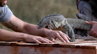 مستند پادشاهان درد فصل اول قسمت چهارم