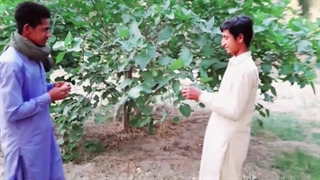 کلیپ جدید دزدی