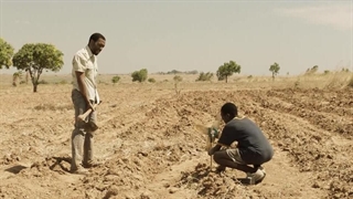 فیلم The Boy Who Harnessed the Wind 2019 (پسری که باد را مهار کرد) با دوبله فارسی بدون سانسور