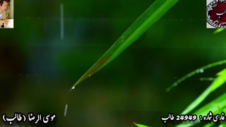 غزلیات دلنواز طالب / غزل شماره 24949