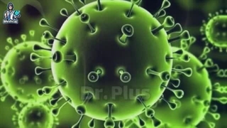 ⚪️اگر تمام ویروس‌ها ناپدید شوند چه اتفاقی خواهد افتاد؟