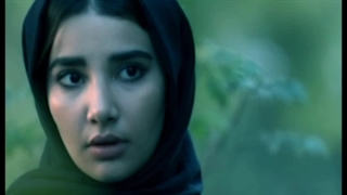 مغز سمی    aliborji_org