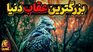 هارپی، قدرتمندترین و دیکتاتورترین عقاب دنیا ، اجل معلق میمون ها