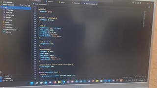 بخش دوم - بهاره آذرحزین - طراحی وب