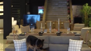 مدل مبل راحتی جدید 1403 | مبل رضا