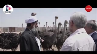 دومین مستند انتخاباتی جانباز وطن؛ دکتر سعید جلیلی 1403.04.03 کشیدن دندان