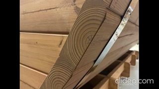 ترمووود فنلاندی