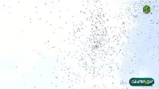 پرواز بادکنک ها در آسمان تهران =)