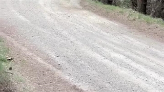 وقتی دریفت خوب پیش نمی ره