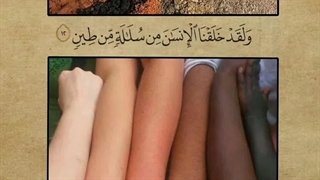 سوره مومنون آیات 12 تا 14